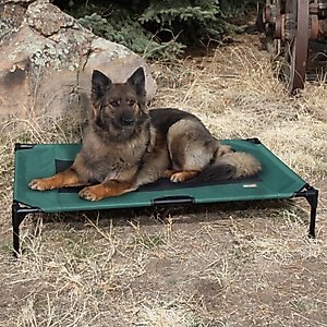 K&H Pet Products Original Pet Cot Elevated Dog Bed, Green/Black, X-Large 