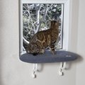 K&H Pet Products Kitty Sill Cat Window Perch Shelf Cushioned Cat Window Seat, Unheated, Gray