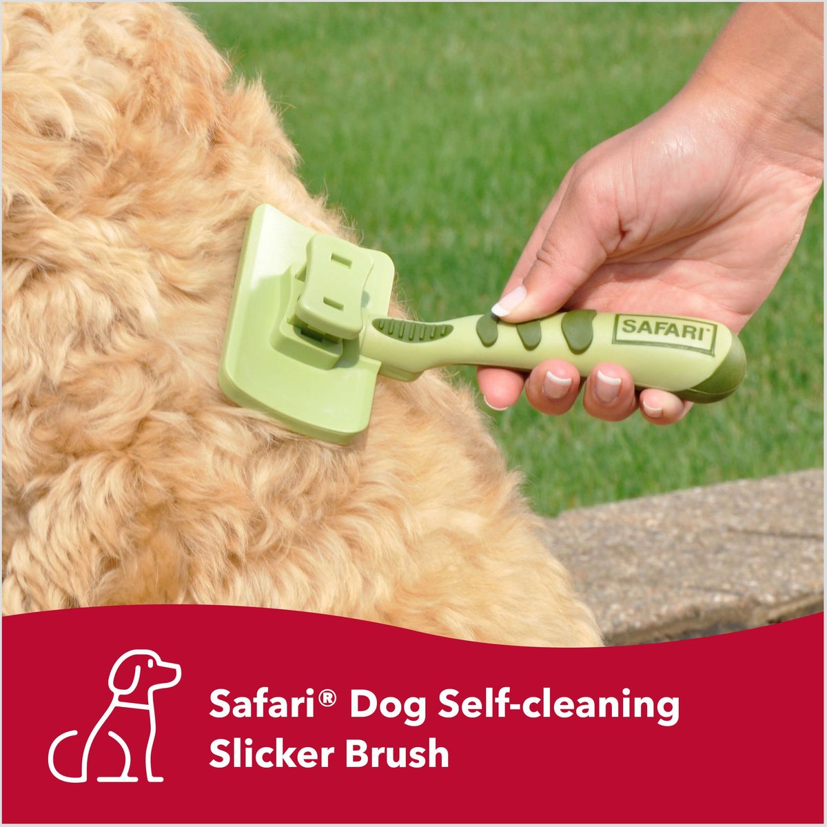 SAFARI SelfCleaning Slicker Brush for Dogs, Small