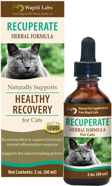 Wapiti Labs Recuperate Formula for Healthy Recovery Cat Supplement, 2-oz bottle slide 1 of 9
