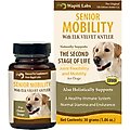 Wapiti Labs Senior Mobility Formula Dog Powder Supplement, 1.06-oz bottle