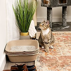 Kitty Sift Disposable Sifting Cat Litter Box Kit, Large slide 1 of 9