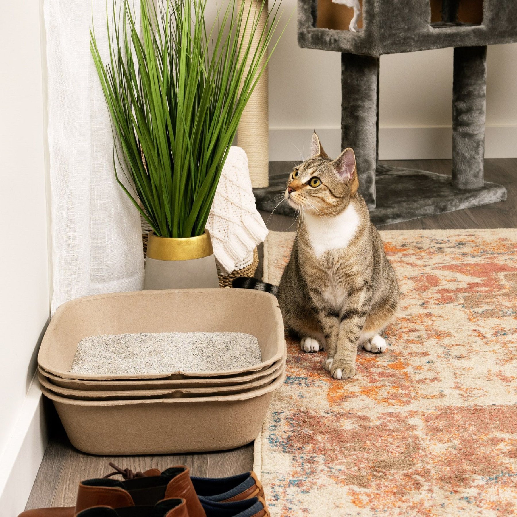 Kitty Sift Kitty Sift Disposable Sifting Cat Litter Box Kit, Large