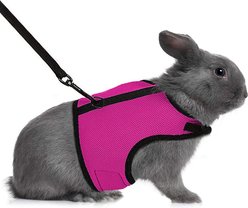 SunGrow Adjustable Escape Proof Rabbit & Ferret Vest Harness & Leash Set Outdoor Walking Accessories