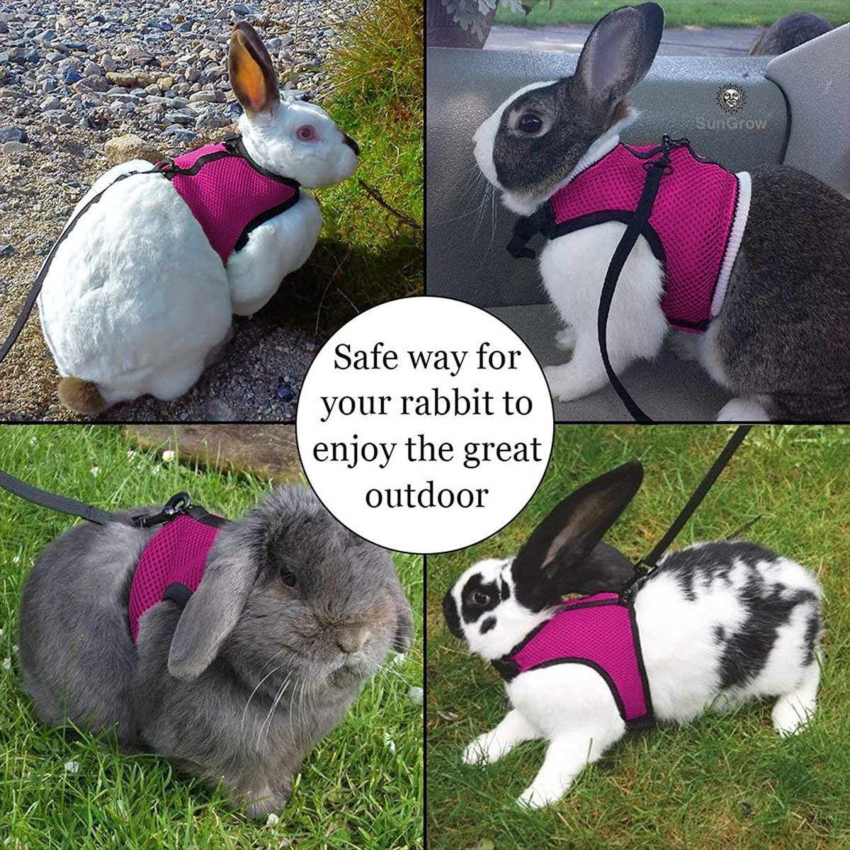 SUNGROW Adjustable Escape Proof Rabbit & Ferret Vest Harness & Leash Set  Outdoor Walking Accessories 