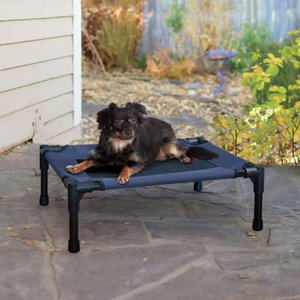 K&H Pet Products Original Pet Cot Elevated Dog Bed, Blue/Black, Small