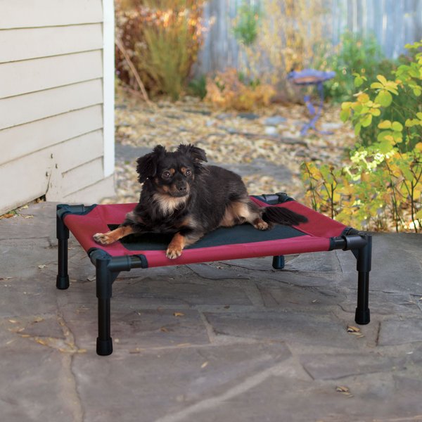 K&H Pet Products Original Pet Cot Elevated Dog Bed, Red, Small slide 1 of 10
