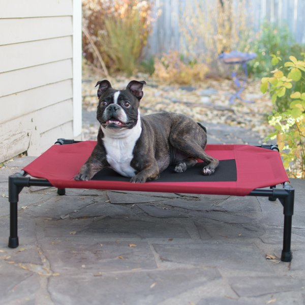 K&H Pet Products Original Pet Cot Elevated Dog Bed, Red/Black, Medium  slide 1 of 10
