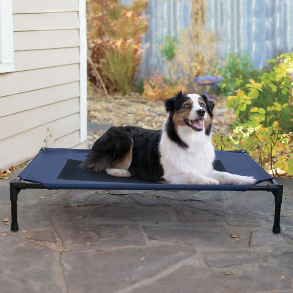 K&H Pet Products Original Pet Cot Elevated Dog Bed, Blue/Black, Large slide 1 of 12