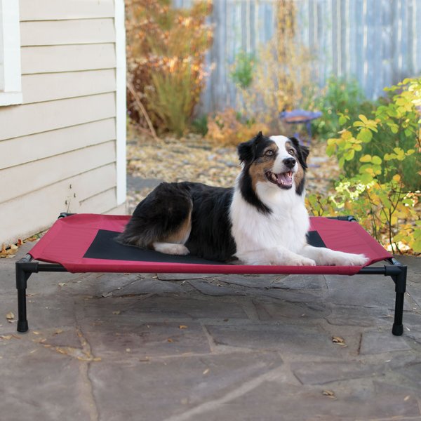 K&H PET PRODUCTS Original Steel Frame Pet Cot Elevated Dog Bed, Red/Black, Large