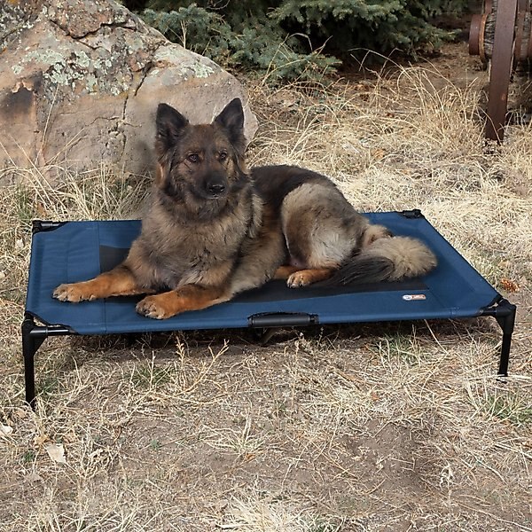K&H Pet Products Original Pet Cot Elevated Dog Bed,Blue/Black, X-Large  slide 1 of 9