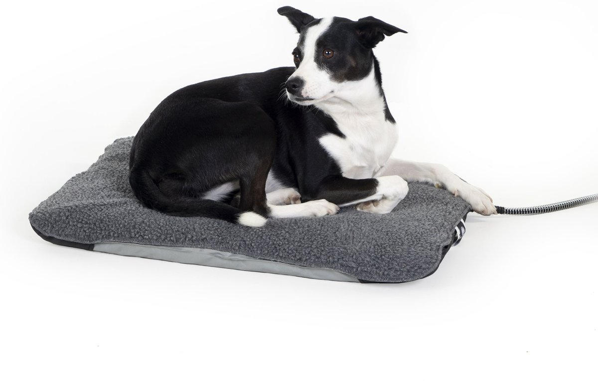 Outdoor heated shop pet bed