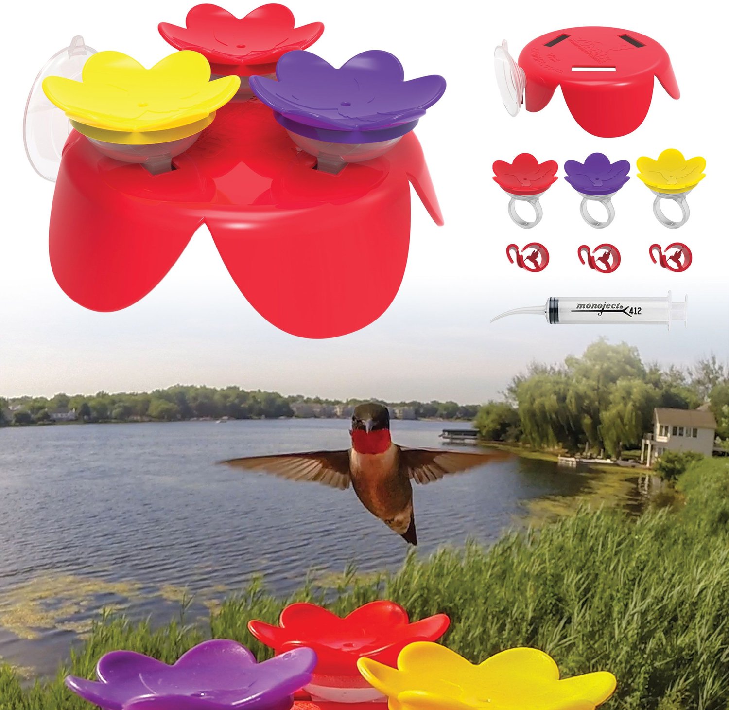 ZUMMR Hummingbird Ring Bird Feeder Starter Kit