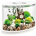 biOrb LOOP 15 Standard Light Fish Aquarium, 4-gal, White