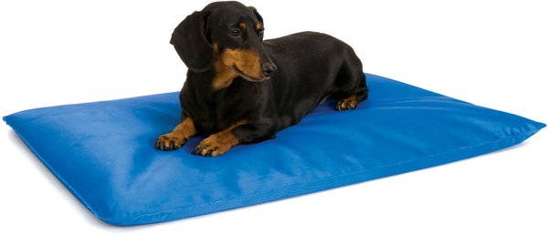 Voorrecht Afdrukken Wacht even K&H PET PRODUCTS Cool Bed III Dog Pad, Blue, Small - Chewy.com