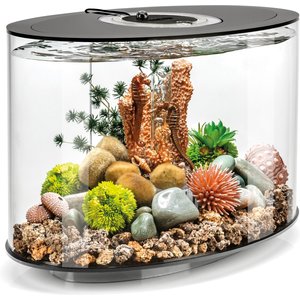 biOrb LOOP 15 MCR Light Fish Aquarium, 4-gal, Black