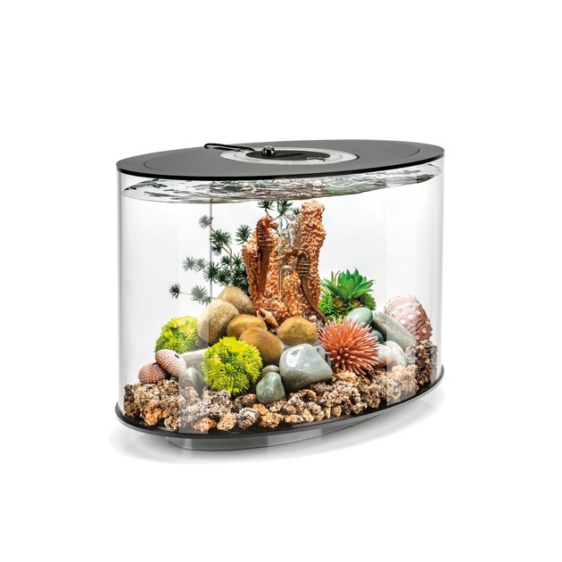 BIORB LOOP 15 MCR Light Fish Aquarium, 4gal, Black