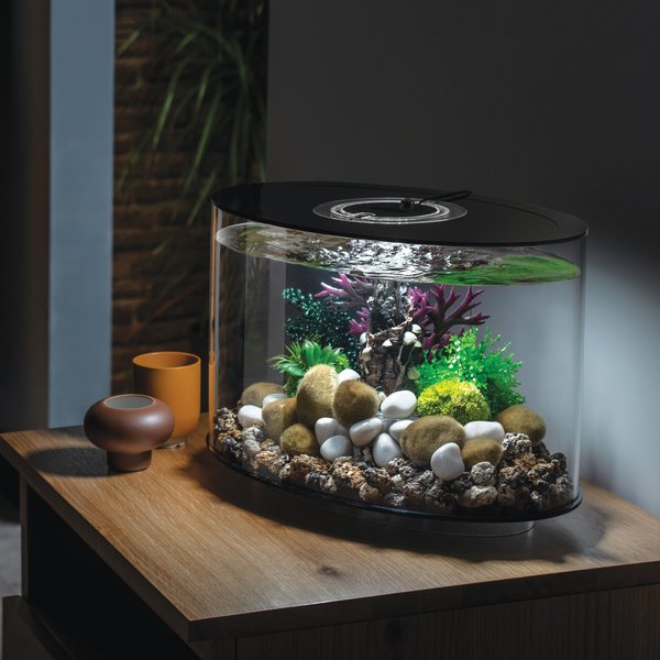 biOrb LOOP 15 MCR Light Fish Aquarium, 4-gal