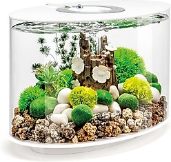 biOrb LOOP 15 MCR Light Fish Aquarium, 4-gal, White
