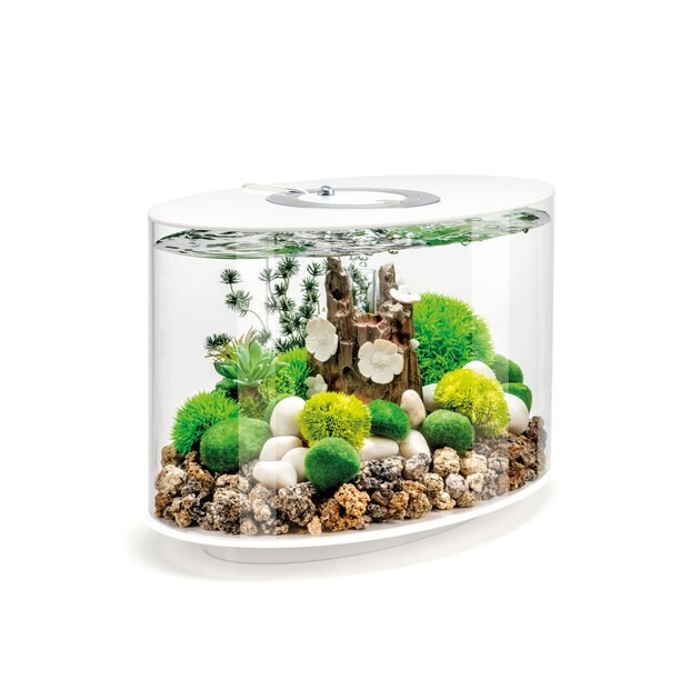 BIORB LOOP 15 MCR Light Fish Aquarium, 4gal, White