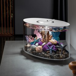 biOrb LOOP 15 MCR Light Fish Aquarium, 4-gal, White slide 2 of 4