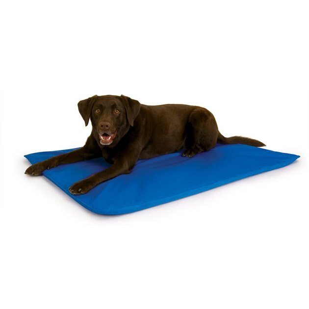 K&H Pet Products Quilted Memory Dream Pad, Blue