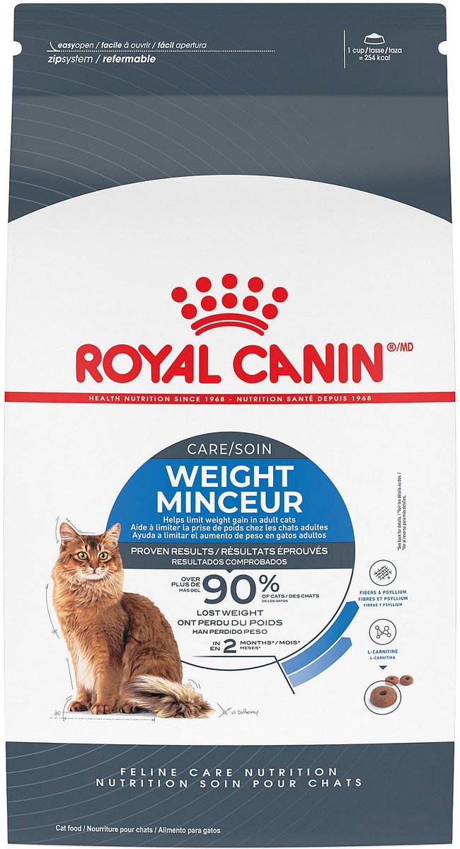 Chewy royal shop canin kitten