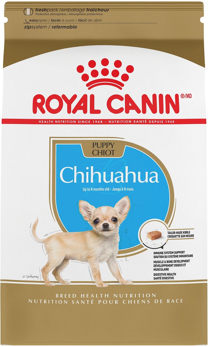 Chihuahua clearance food portions