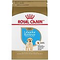 Royal Canin Breed Health Nutrition Labrador Retriever Puppy Dry Dog Food, 30-lb bag