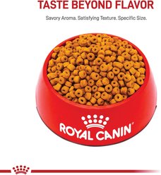 Royal Canin Breed Health Nutrition Labrador Retriever Puppy Dry Dog Food, 30-lb bag slide 2 of 9