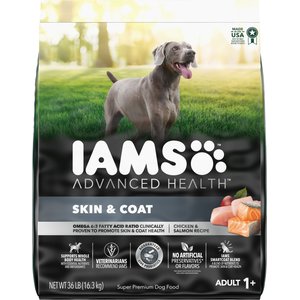 Iams proactive health sales minichunks dog food