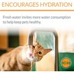 K&H Pet Products CleanFlow Filtered Water Cat Bowl, 80-oz