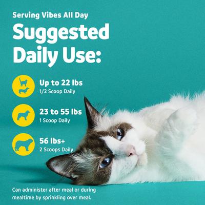 Show full view: Vibeful Dental Health Powder Supplement for Dogs & Cats, 60g slide 7 of 10