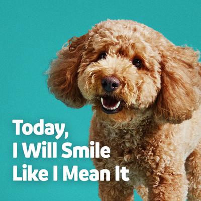 Show full view: Vibeful Dental Health Powder Supplement for Dogs & Cats, 60g slide 8 of 10