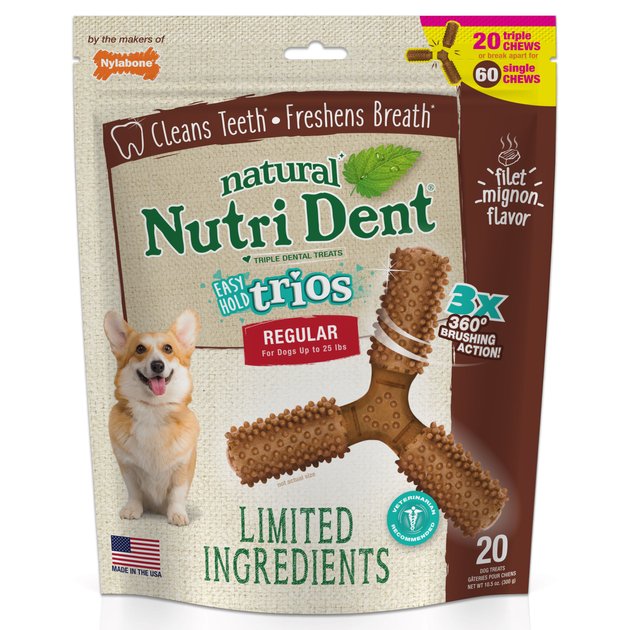 Nylabone Nutri Dent Adult Filet Mignon Small Dental Chews