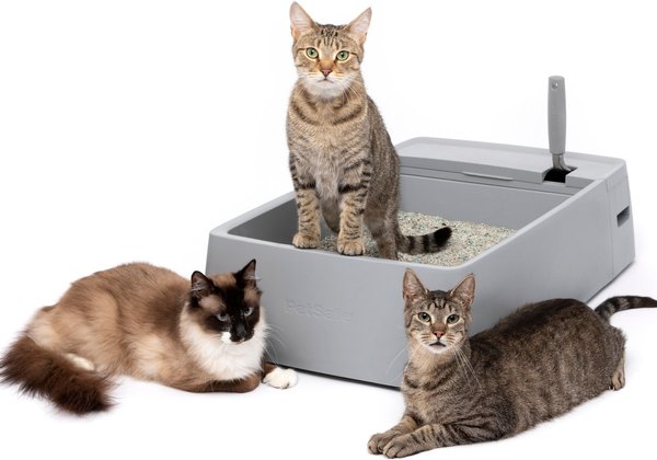 PetSafe Multi-Cat Litter Box slide 1 of 11