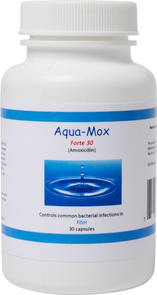 Midland Vet Services Aqua-Mox Forte 500 mg Fish Capsules, 30 count slide 1 of 3