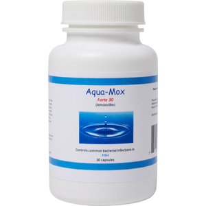 Midland Vet Services Aqua-Mox Forte 500 mg Fish Capsules, 30 count