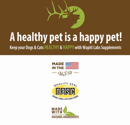 Show full view: Wapiti Labs G.I. Tract Homeopathic Medicine for Digestive Issues for Cats, 2-fl oz bottle slide 8 of 11