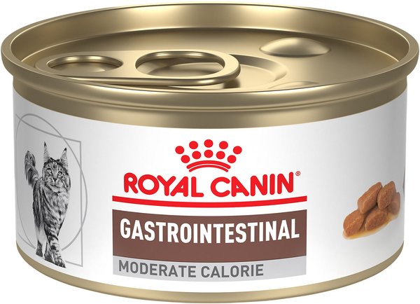 Royal Canin Veterinary Diet Adult Gastrointestinal Moderate Calorie Thin Slices in Gravy Canned Cat food, 3-oz, case of 24 slide 1 of 11