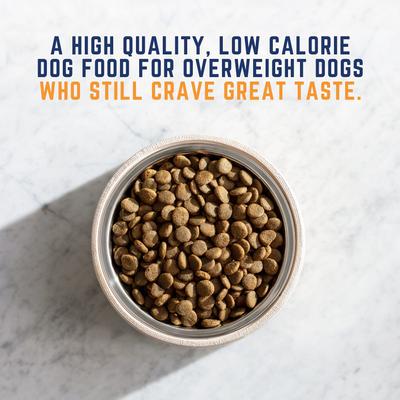 Show full view: Natural Balance Fat Dogs Chicken & Salmon Formula Low Calorie Dry Dog Food, 15-lb bag slide 4 of 10
