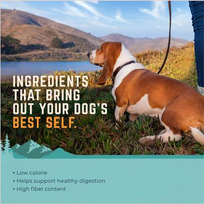 Show full view: Natural Balance Fat Dogs Chicken & Salmon Formula Low Calorie Dry Dog Food, 15-lb bag slide 5 of 10