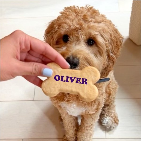 SPOTS NYC Let's Pawty Personalized Picture Peanut Butter Flavored Crunchy Dog Treats, 3 count