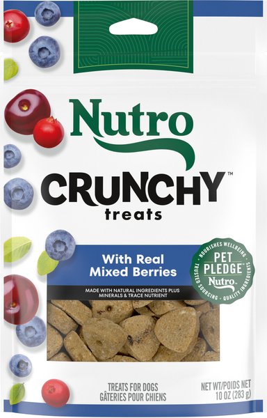 Nutro moist n chewy bites best sale