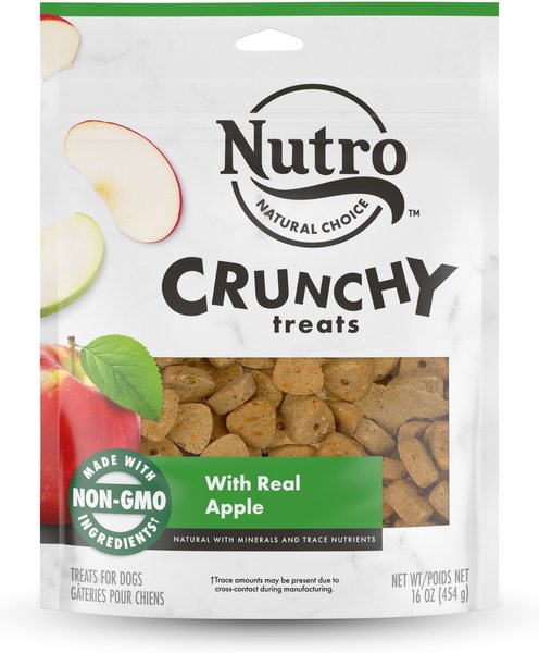 Nutro Crunchy with Real Apple Dog Treats, 16-oz bag slide 1 of 9