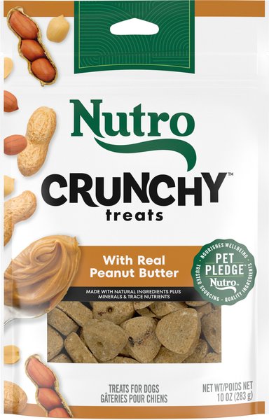 Chewy dog food outlet nutro