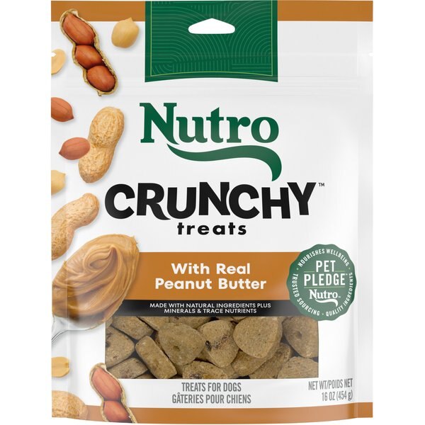 BLUE BUFFALO Holiday Santa Snacks Oatmeal & Cinnamon Crunchy Dog Treats