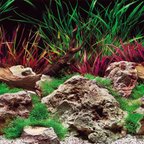 SEAVIEW Aquascape Reversible Background Aquarium Accessory, Slateways ...