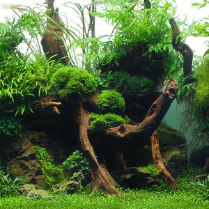 Seaview Aquascape Reversible Background Aquarium Accessory, Greenspike/Amazonia, 18X36-in
