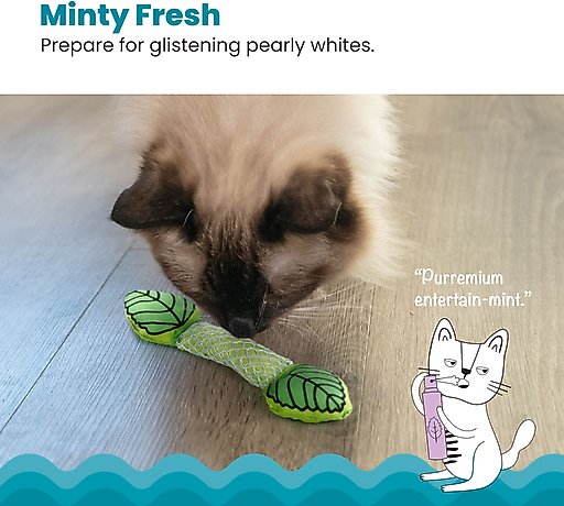 Catstages Fresh Breath Mint Stick Cat Chew Toy